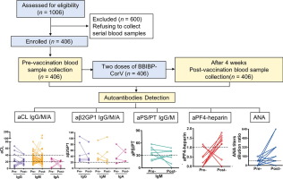 Inactivated SARS-CoV-2 vaccine does not influence the profile of prothrombotic antibody nor increase the risk of thrombosis in a prospective Chinese cohort_4