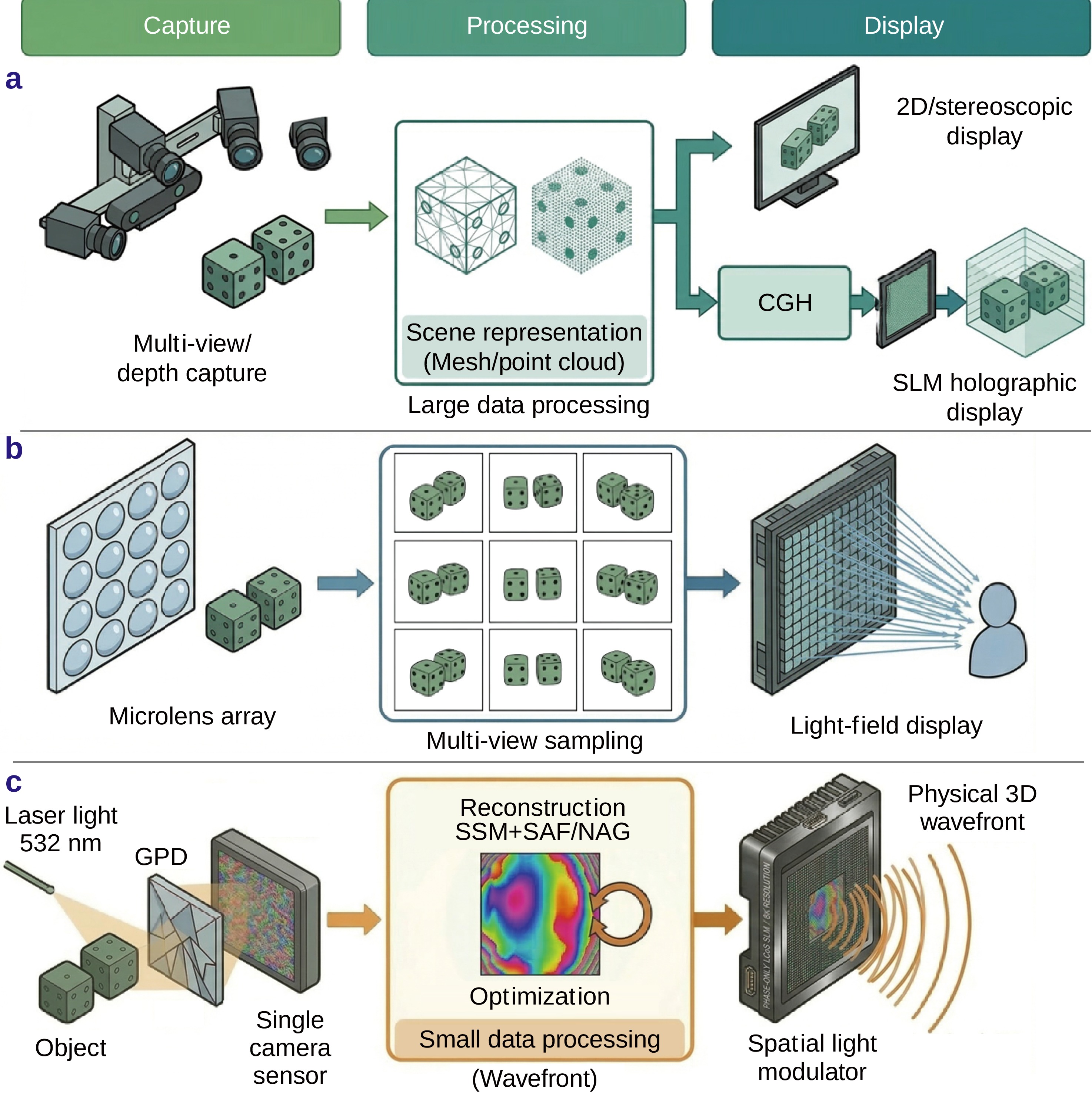 Video-rate wavefront capture and replay via single-shot reference-free measurement: toward holographic telepresence_4