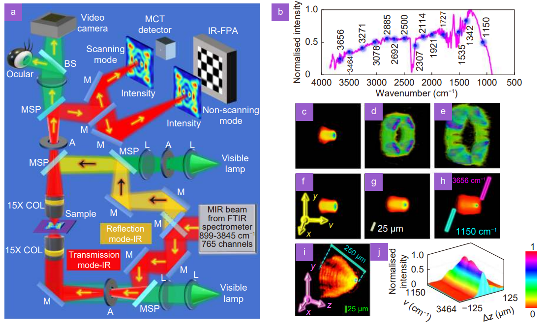 Single-shot mid-infrared incoherent holography using Lucy-Richardson-Rosen algorithm_3