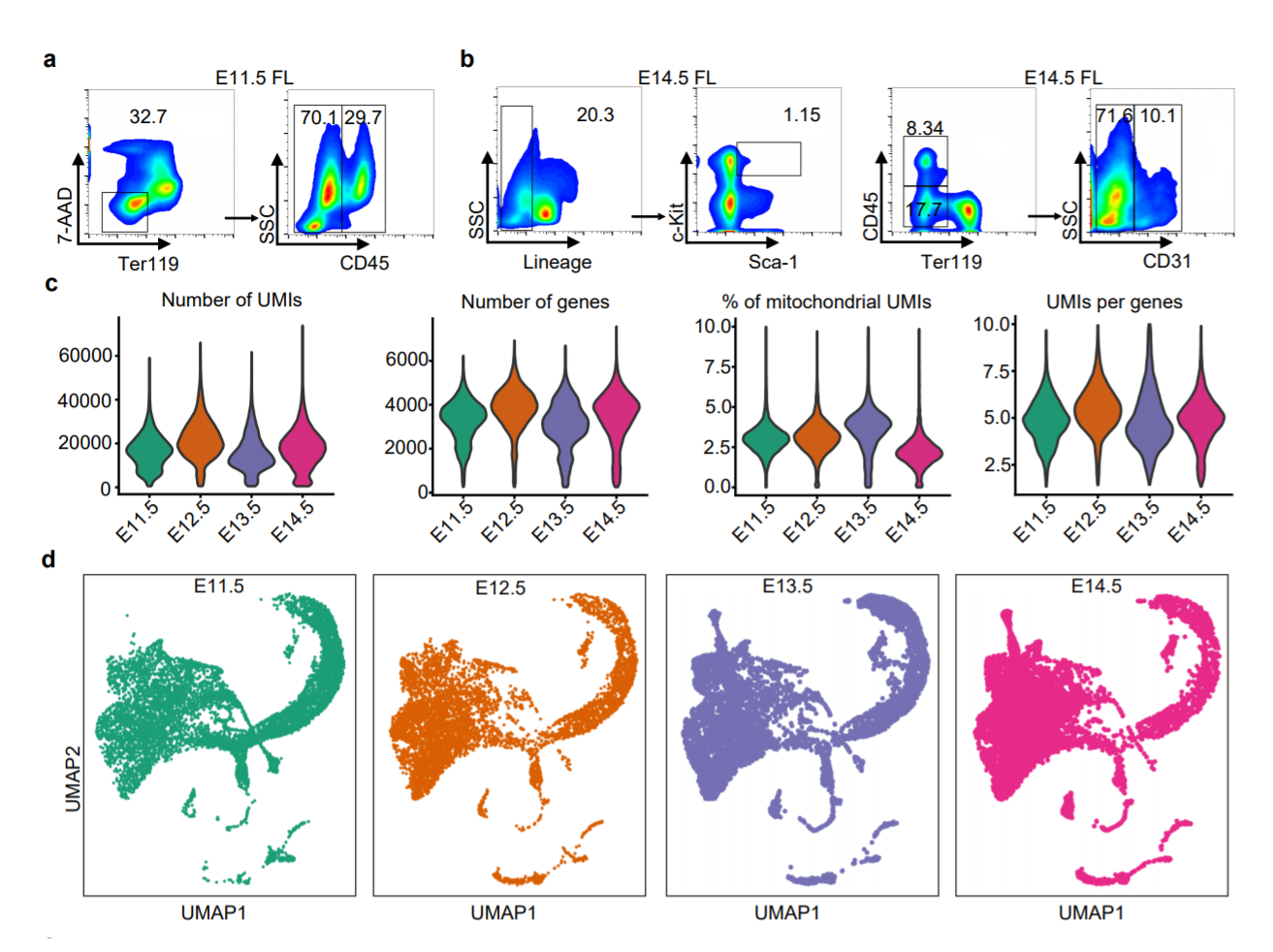 Identification of HSC/MPP expansion units in fetal liver by single-cell spatiotemporal transcriptomics_4