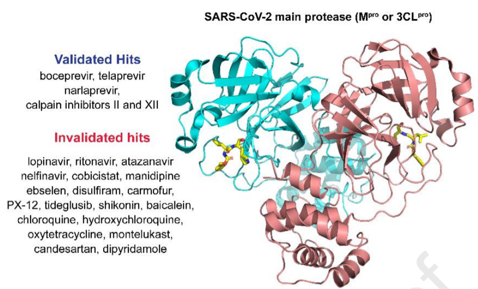 Validation and invalidation of SARS-CoV-2 main protease inhibitors using the Flip-GFP and Protease-Glo luciferase assays_3