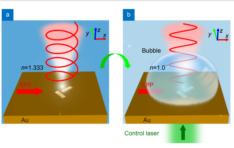Polarization-switchable plasmonic emitters based on laser-induced bubbles_3