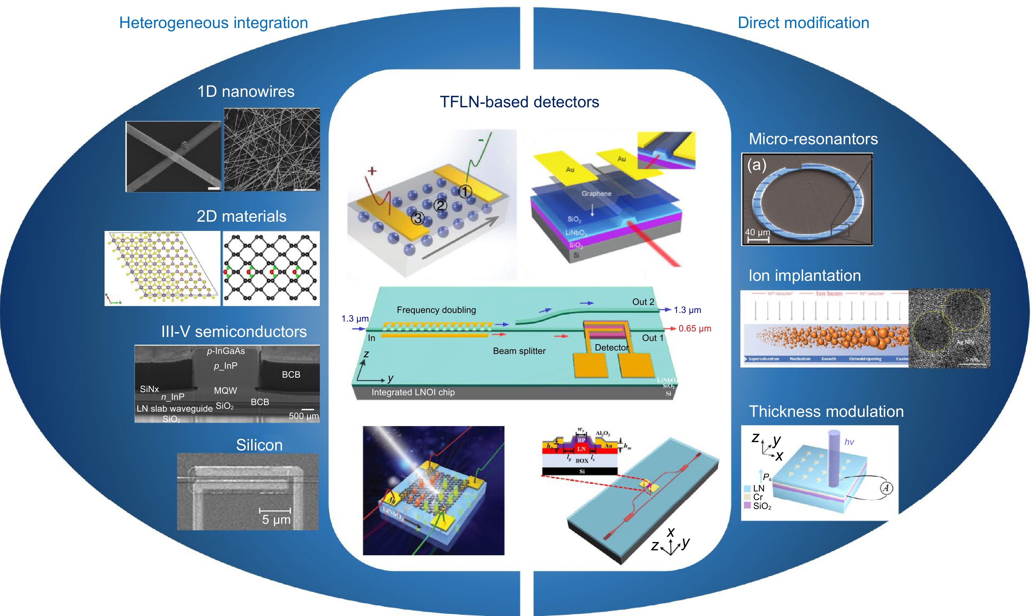 Thin-film lithium niobate-based detector: recent advances and perspectives_4