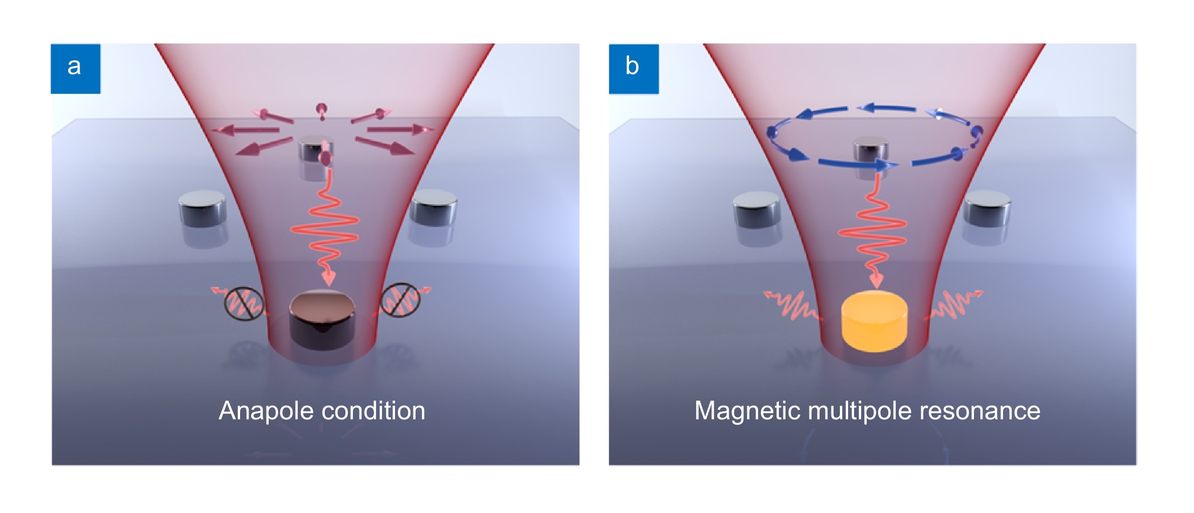 Cylindrical vector beams reveal radiationless anapole condition in a resonant state_4