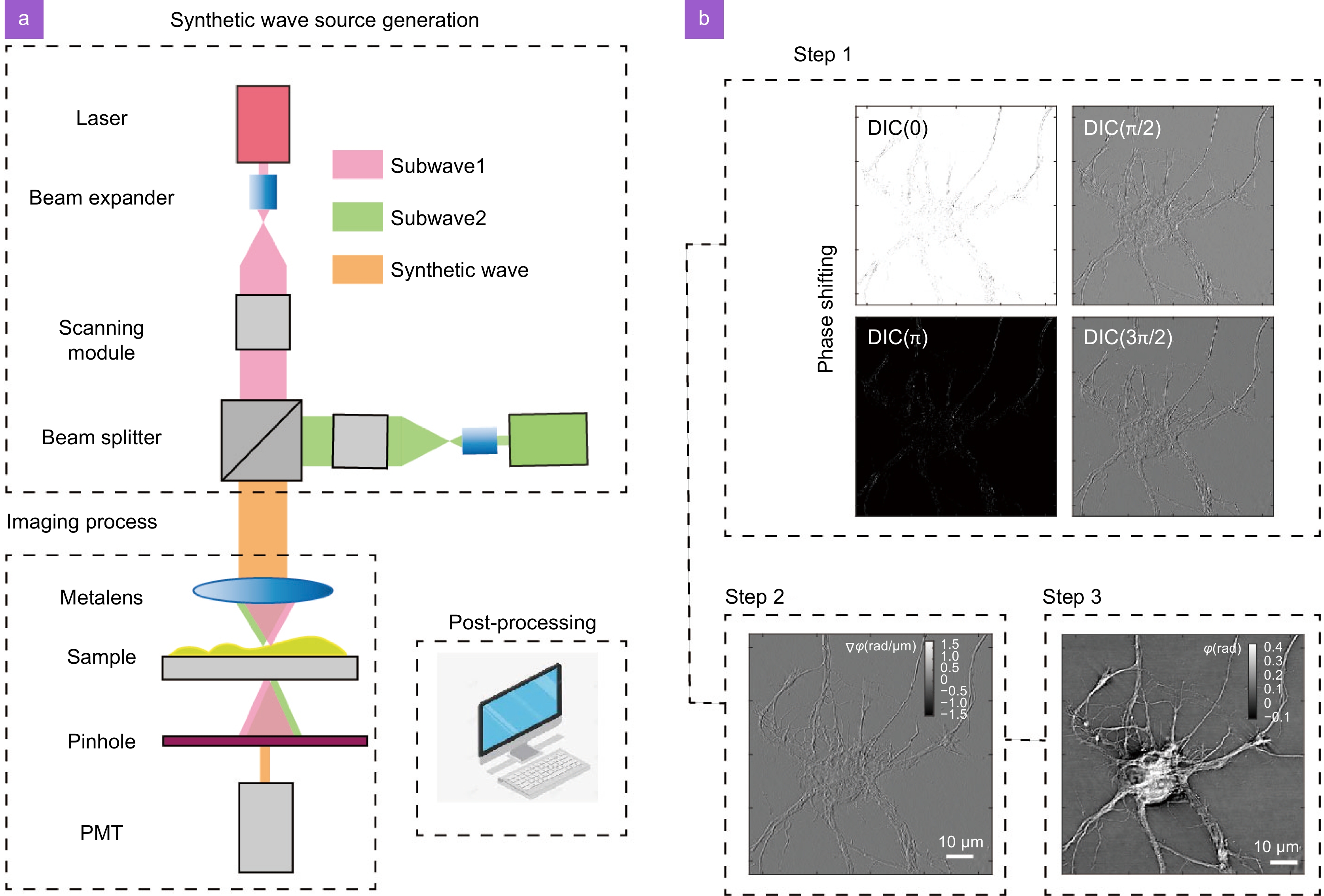 Improved spatiotemporal resolution of anti-scattering super-resolution label-free microscopy via synthetic wave 3D metalens imaging_4