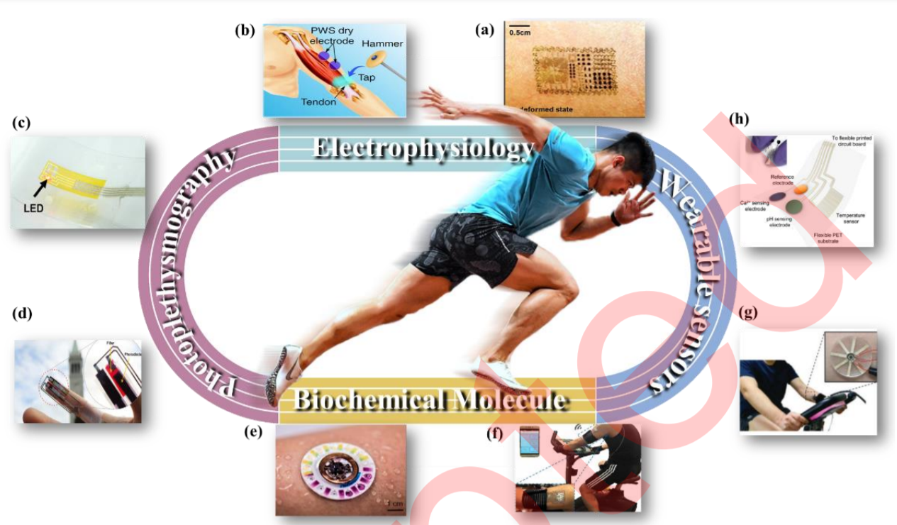 Scientific athletics training: Flexible sensors and wearable devices for kineses monitoring applications_4