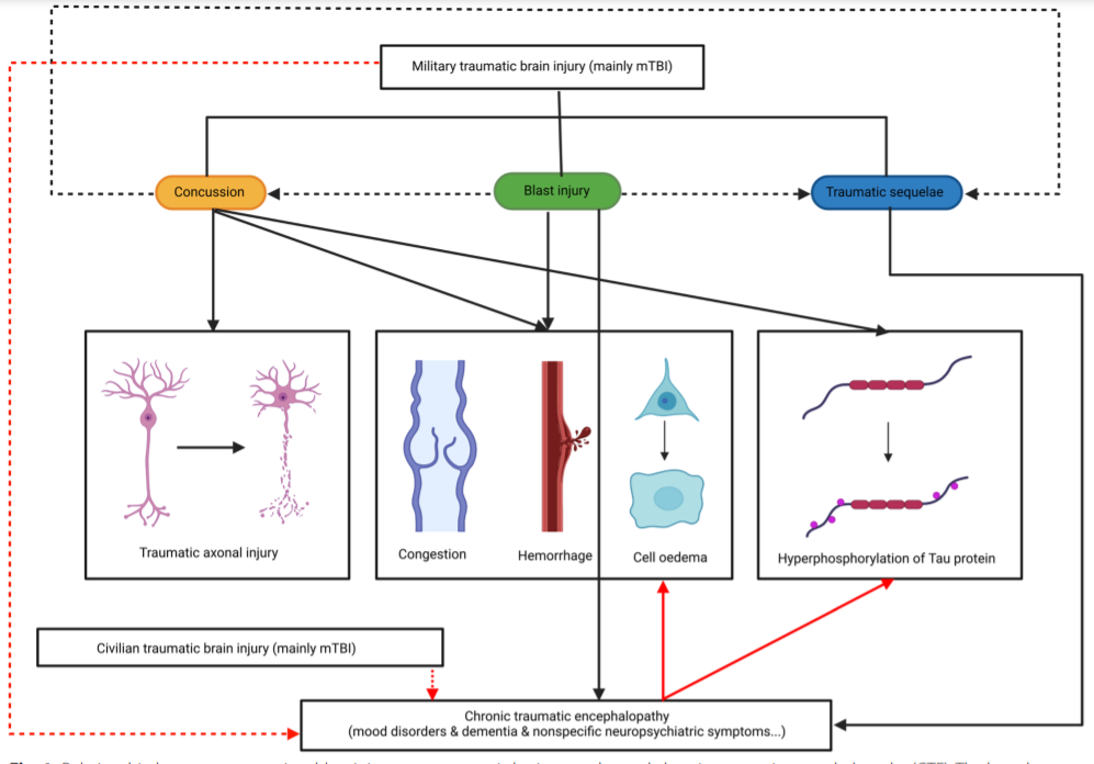 Military traumatic brain injury: a challenge straddling neurology and psychiatry_3