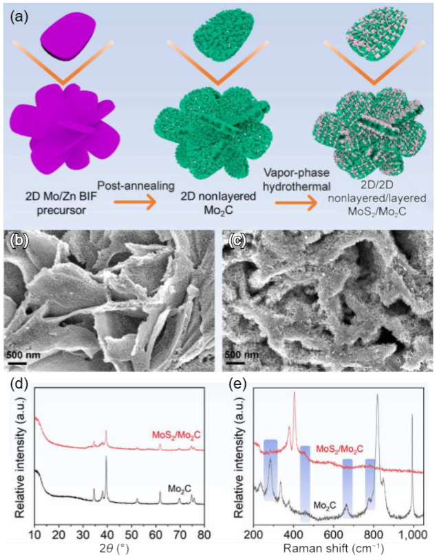 Vertically mounting molybdenum disulfide nanosheets on dimolybdenum carbide nanomeshes enables efficient hydrogen evolution_4