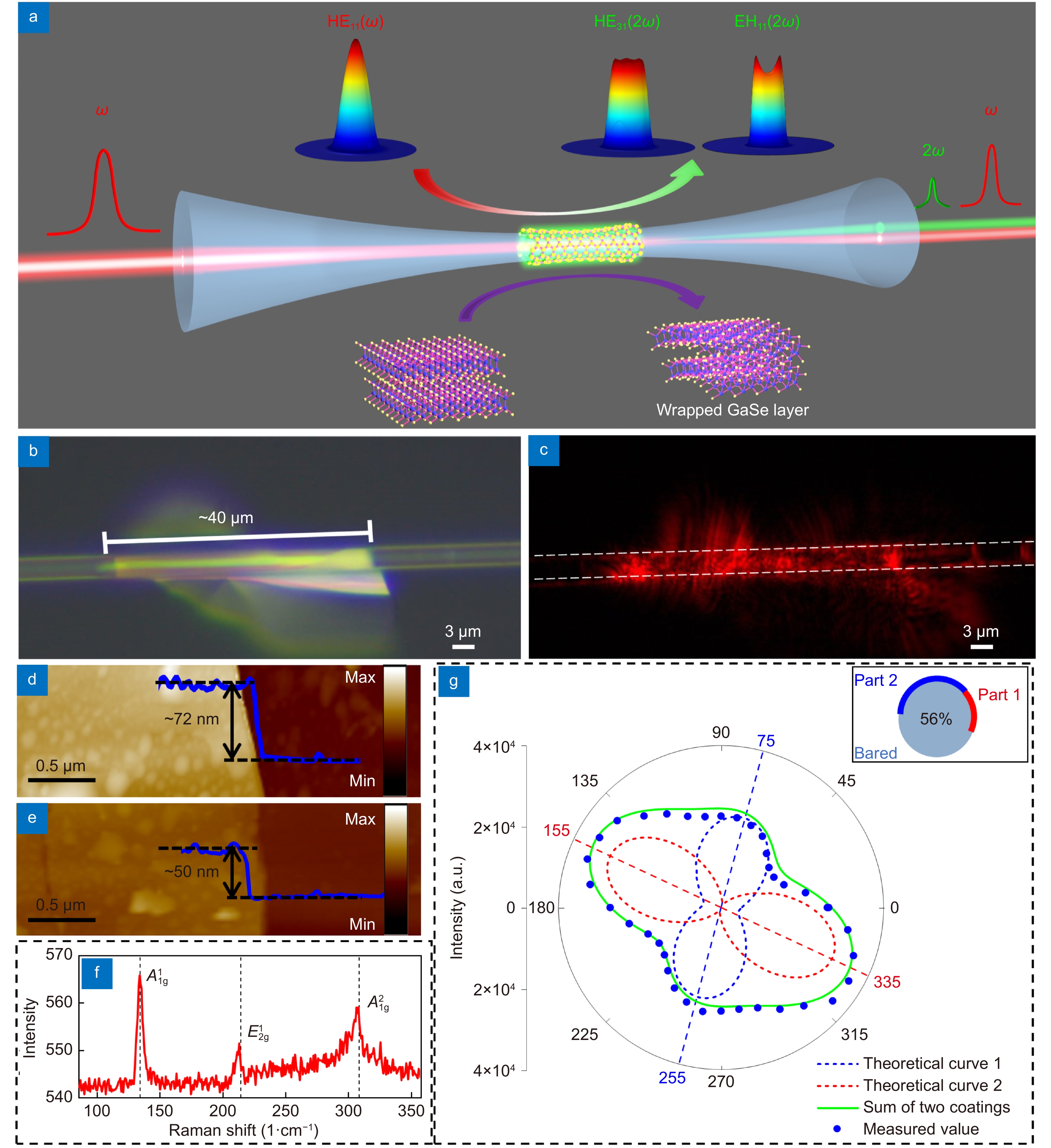 Broadband and continuous wave pumped second-harmonic generation from microfiber coated with layered GaSe crystal_3