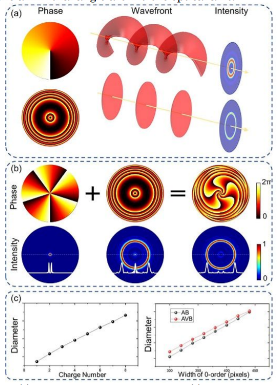 Rapid fabrication of microrings with complex cross-section using annular vortex beams_3