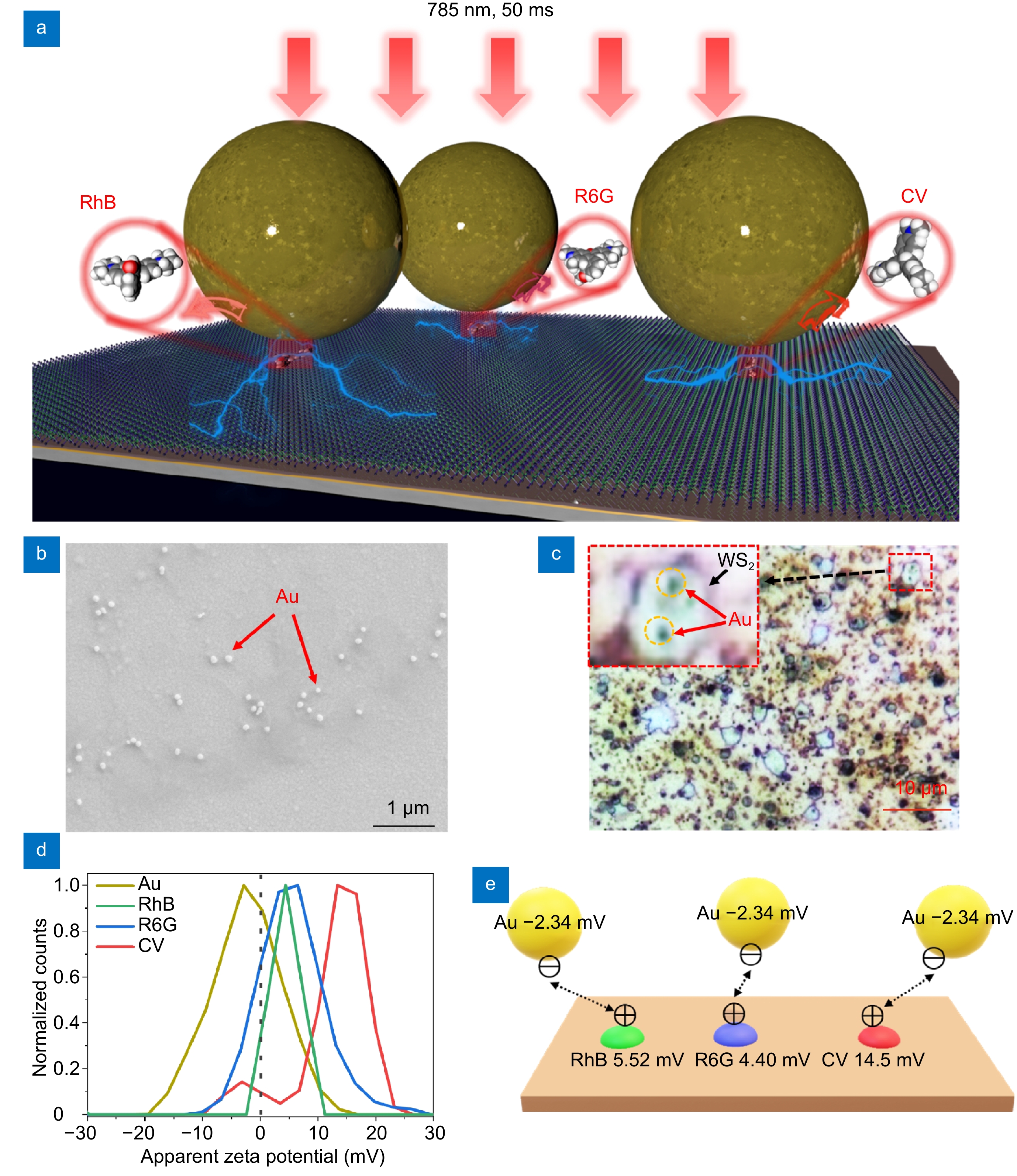 Coulomb attraction driven spontaneous molecule-hotspot paring enables universal, fast, and large-scale uniform single-molecule Raman spectroscopy_3