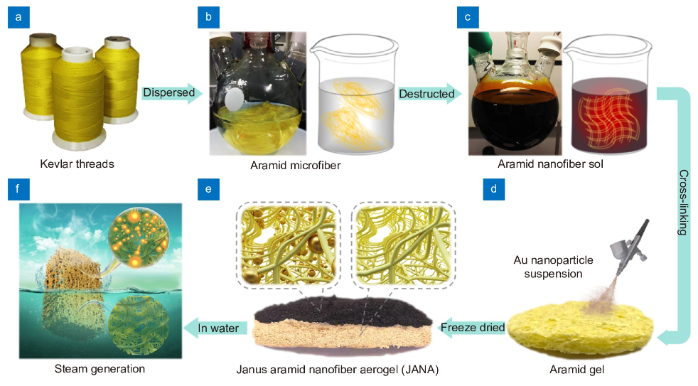Janus aramid nanofiber aerogel incorporating plasmonic nanoparticles for high-efficiency interfacial solar steam generation_3