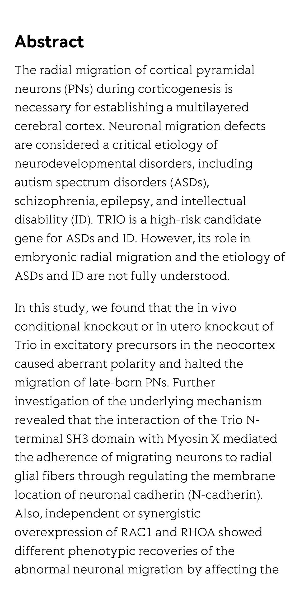 RhoGEF Trio Regulates Radial Migration of Projection Neurons via Its Distinct Domains_2