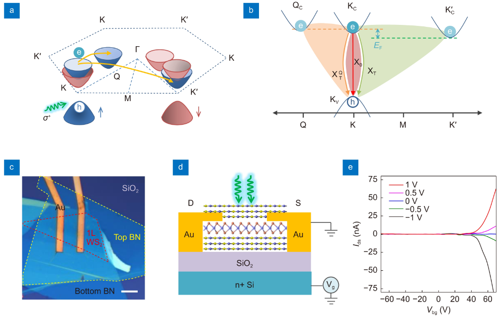 Switching of K-Q intervalley trions fine structure and their dynamics in n-doped monolayer WS₂_4