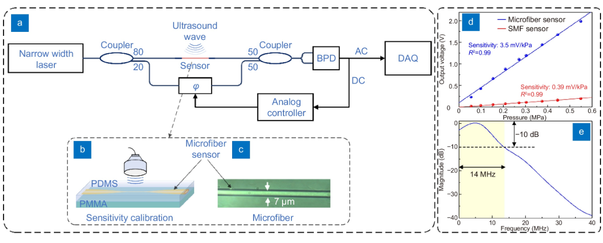 Highly sensitive microfiber ultrasound sensor for photoacoustic imaging_3