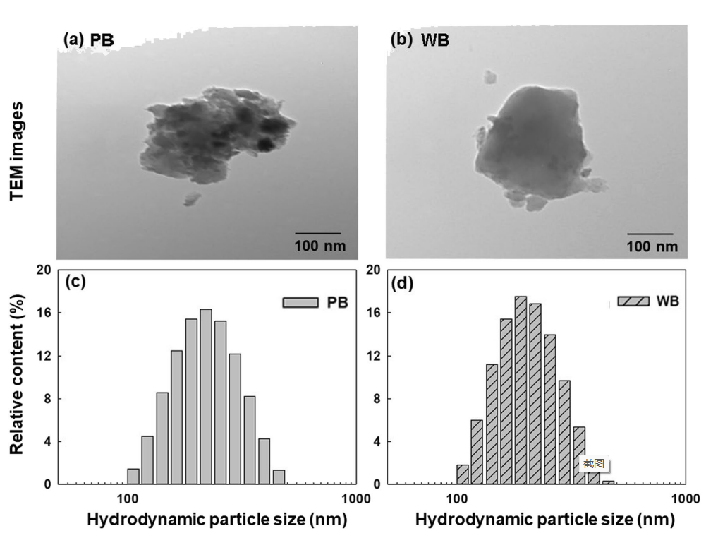 Effects of low molecular weight organic acids on aggregation behavior of biochar colloids at acid and neutral conditions_4