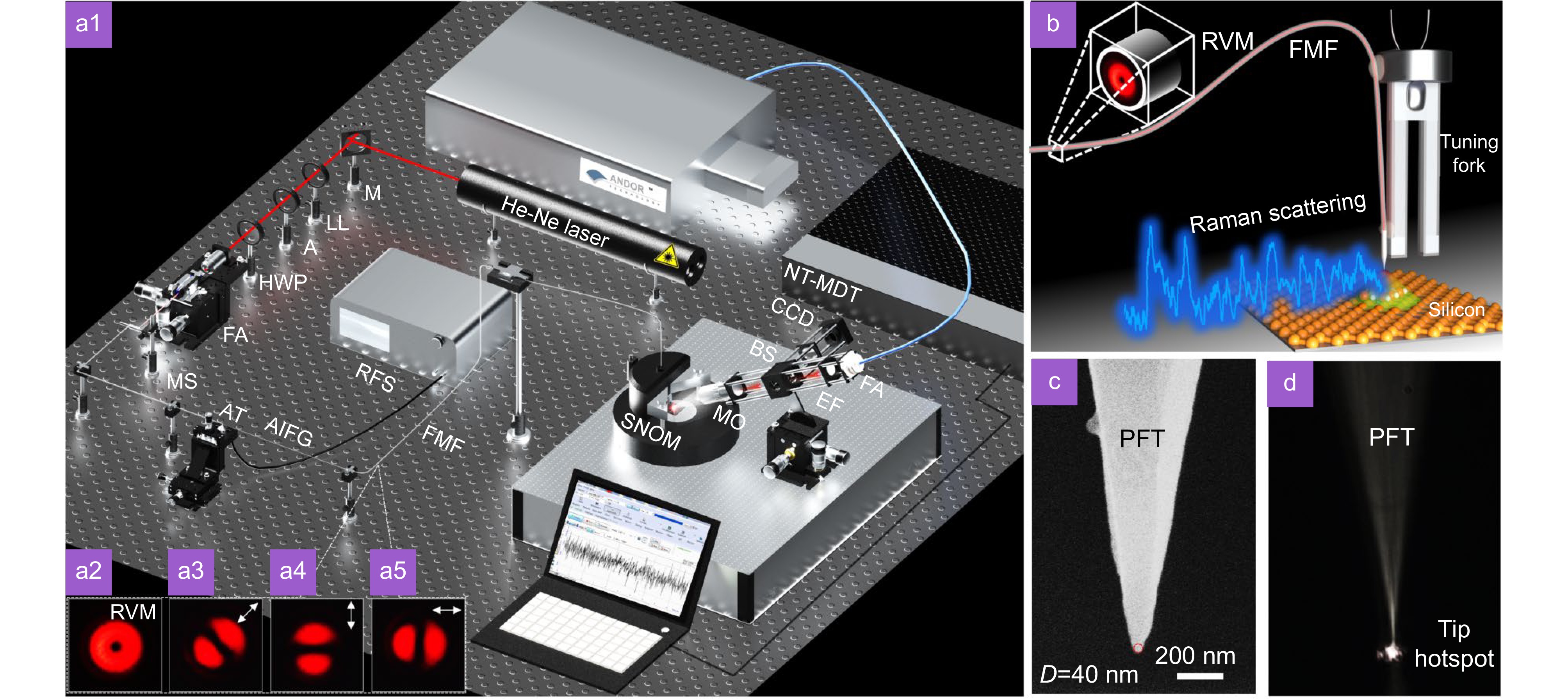 Tip-enhanced Raman scattering of glucose molecules_3