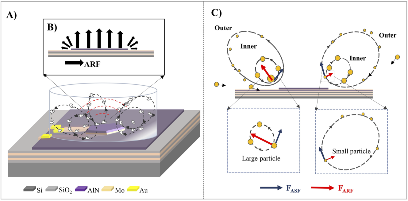 Manipulations of micro/nanoparticles using gigahertz acoustic streaming tweezers_3