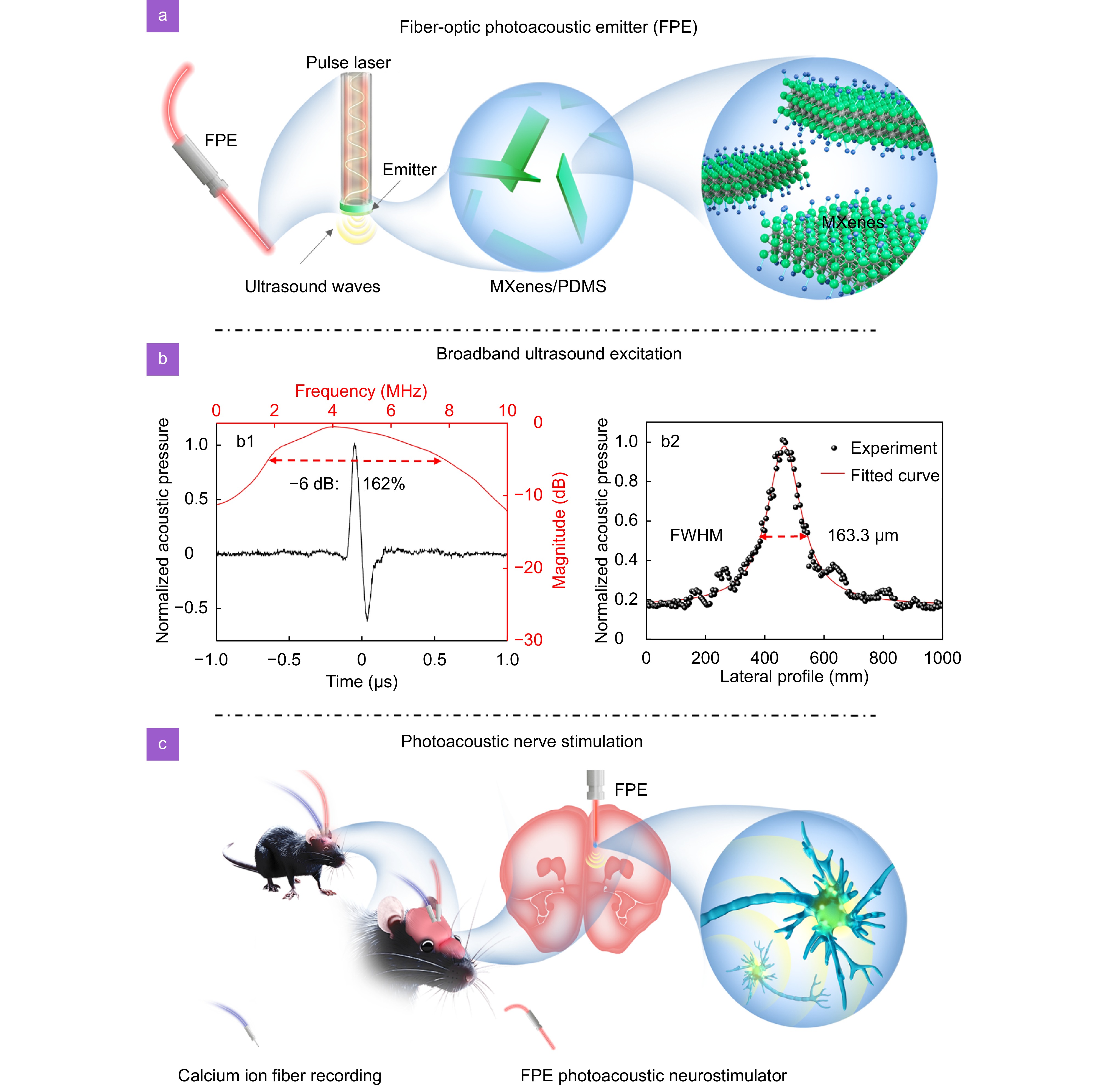 Broadband ultrasound generator over fiber-optic tip for in vivo emotional stress modulation_4