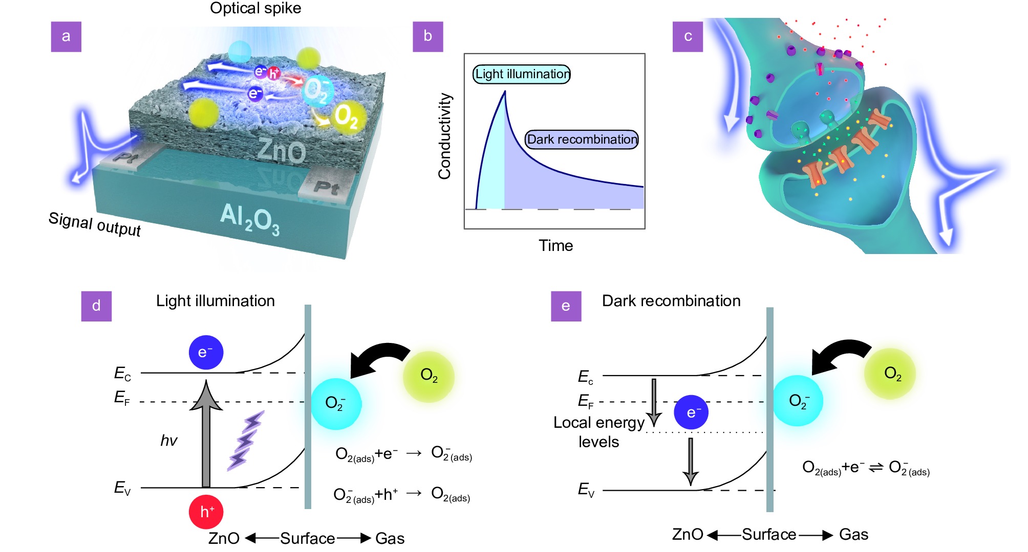 Light-stimulated adaptive artificial synapse based on nanocrystalline metal-oxide film_3