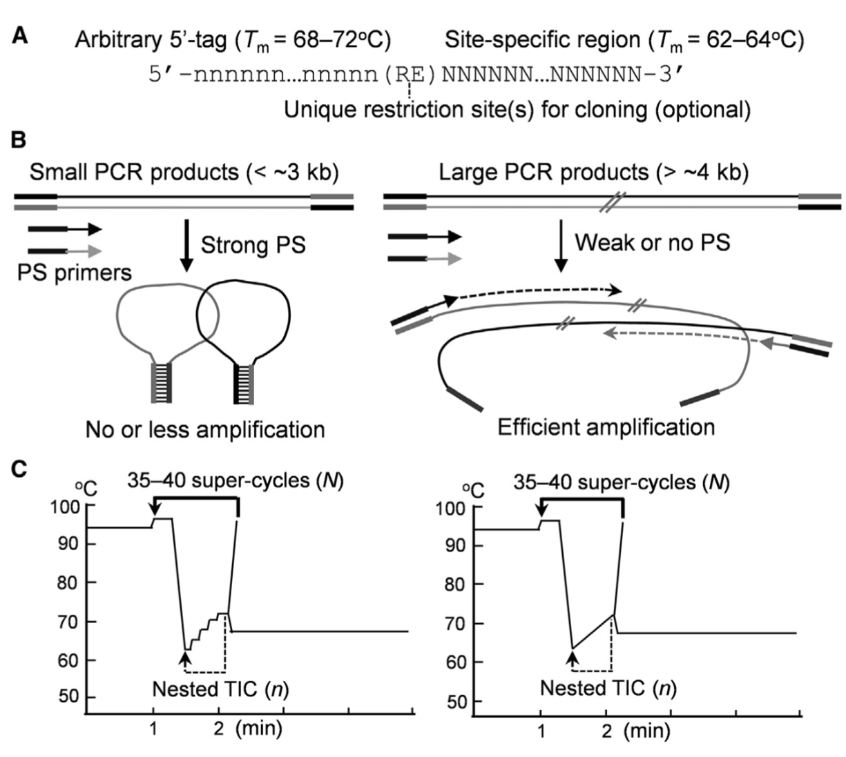 STI PCR: An efficient method for amplification and de novo synthesis of long DNA sequences_4