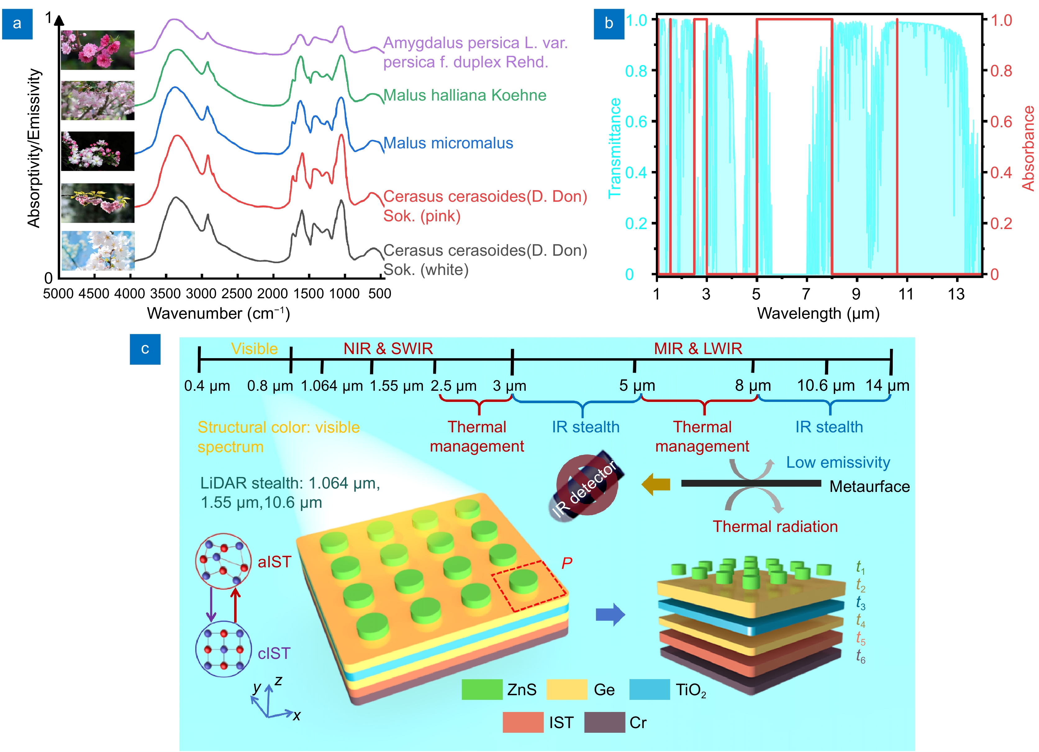 Non-volatile tunable multispectral compatible infrared camouflage based on the infrared radiation characteristics of Rosaceae plants_4