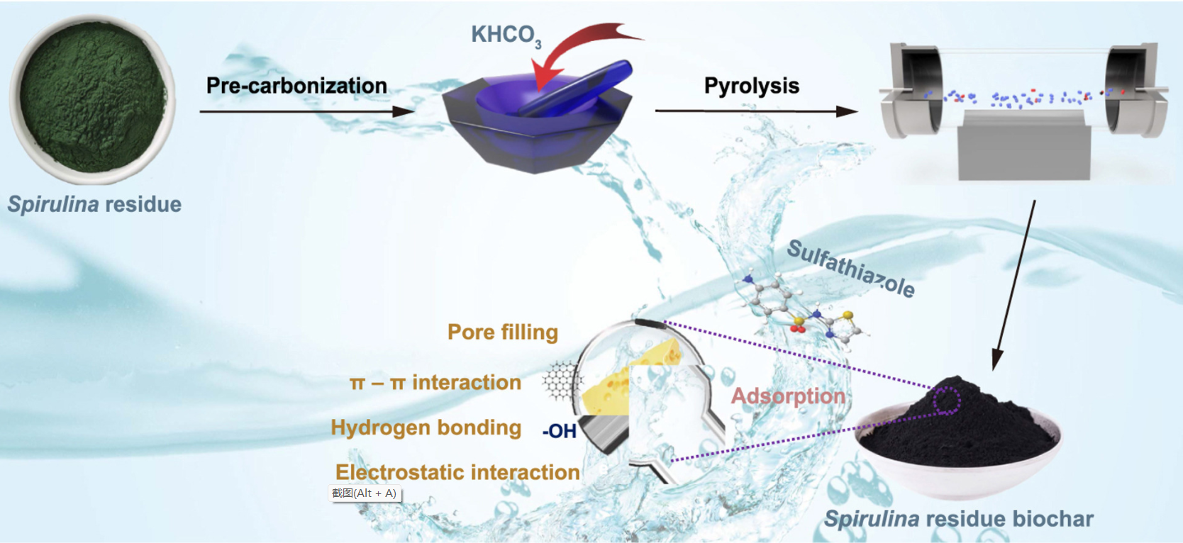 Tailoring a novel hierarchical cheese-like porous biochar from algae residue to boost sulfathiazole removal_4