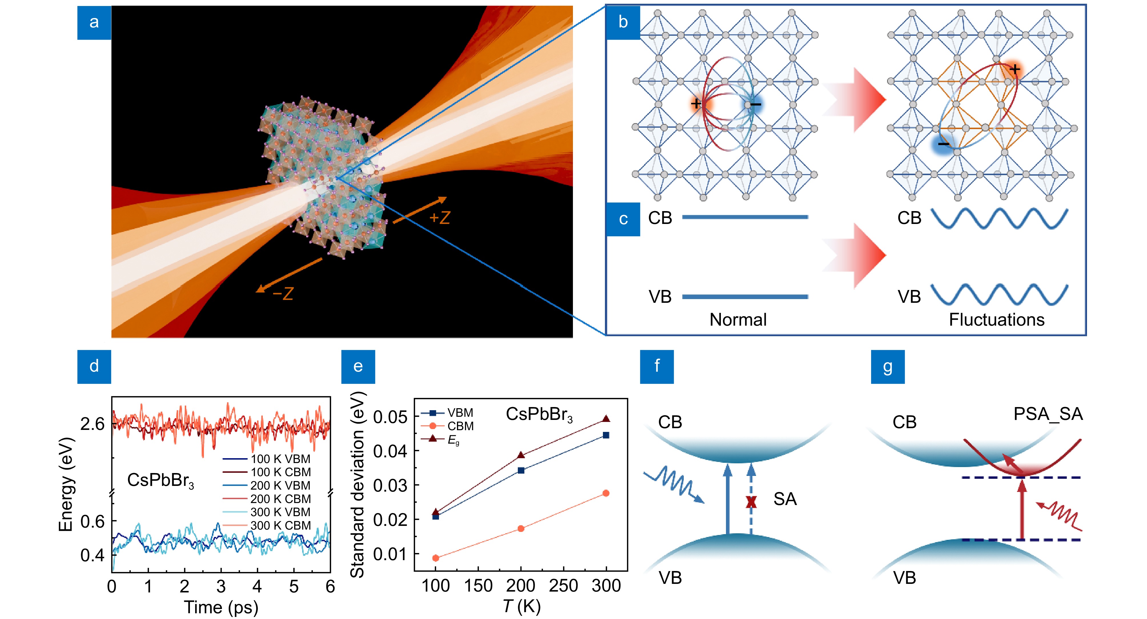 Observation of polaronic state assisted sub-bandgap saturable absorption_4