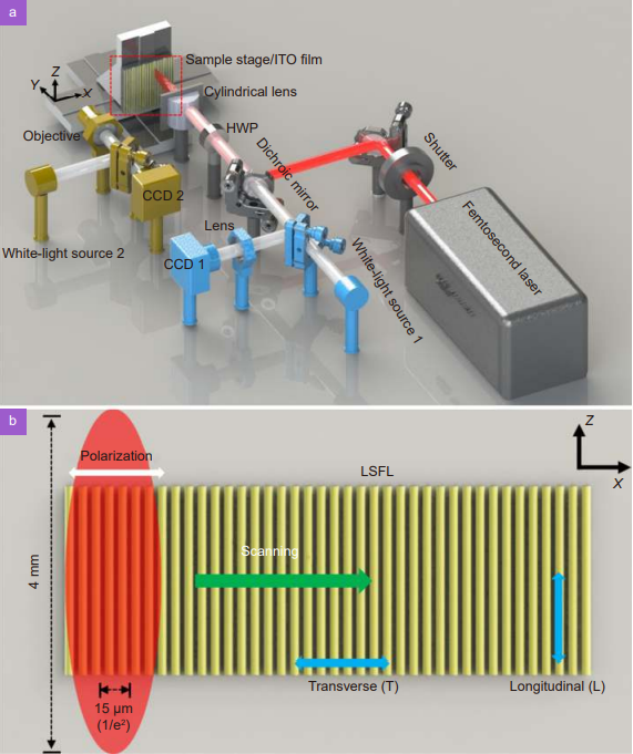 Periodic transparent nanowires in ITO film fabricated via femtosecond laser direct writing_3