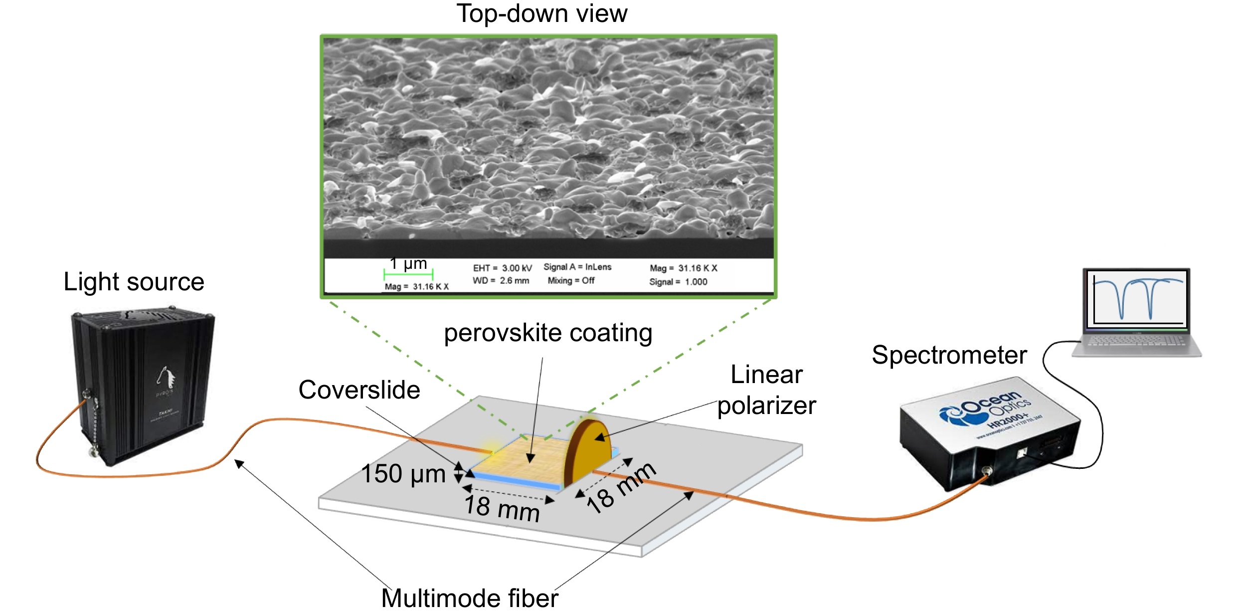 Generation of lossy mode resonances (LMR) using perovskite nanofilms_3