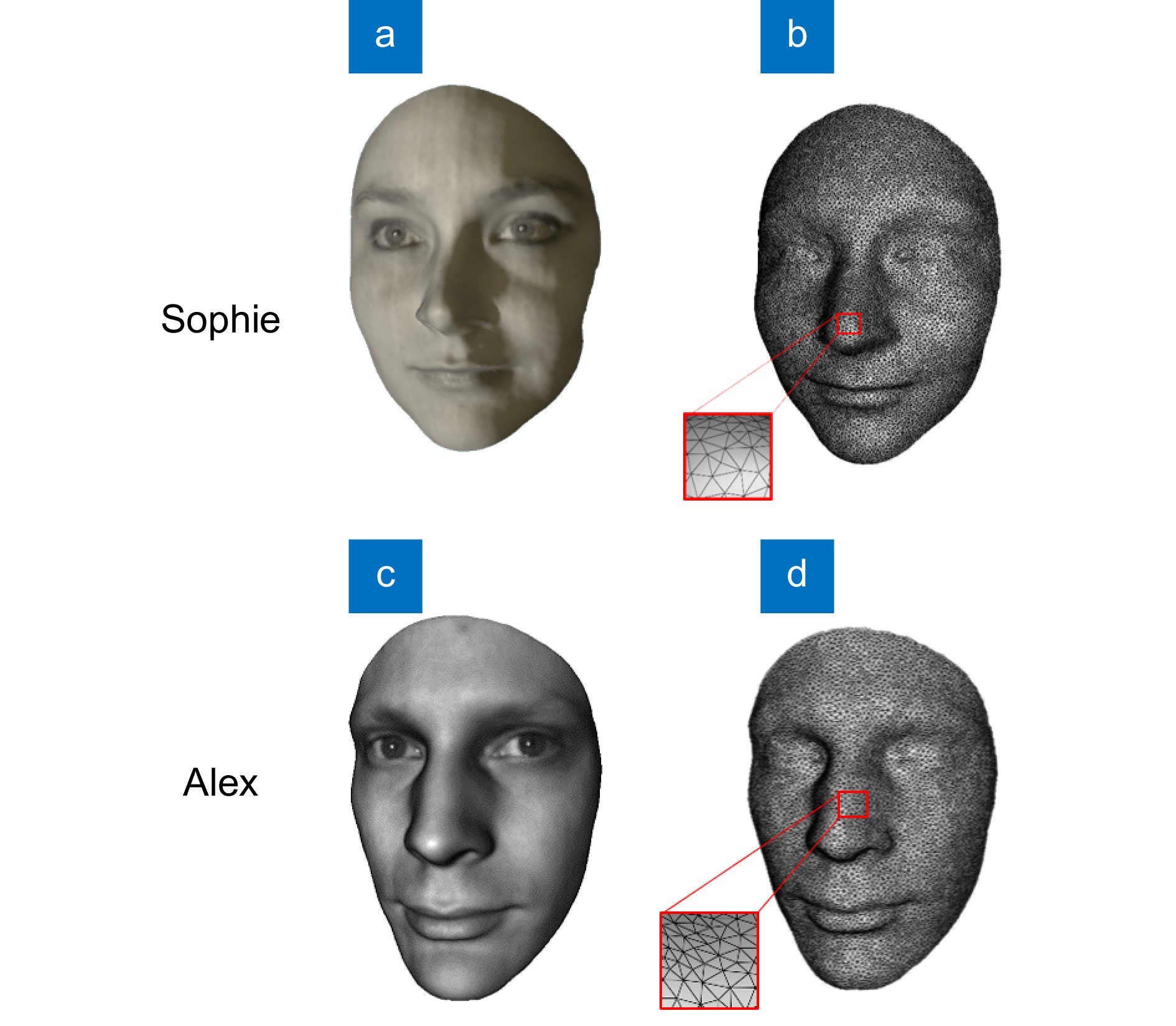 Scale-invariant 3D face recognition using computer-generated holograms and the Mellin transform_4
