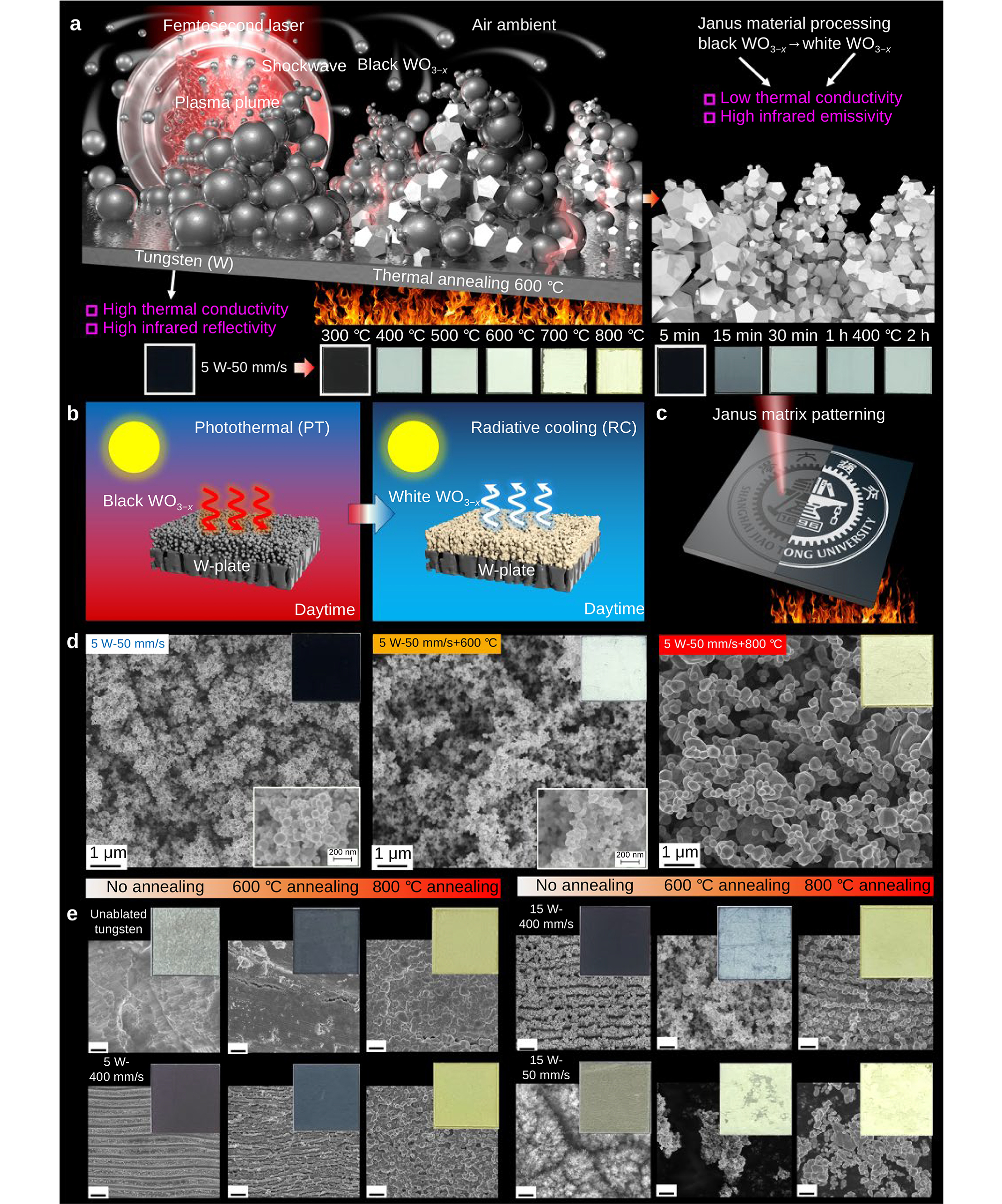 Femtosecond laser based “Janus-material/function” processing paradigm for photothermal and radiative cooling modulation_4
