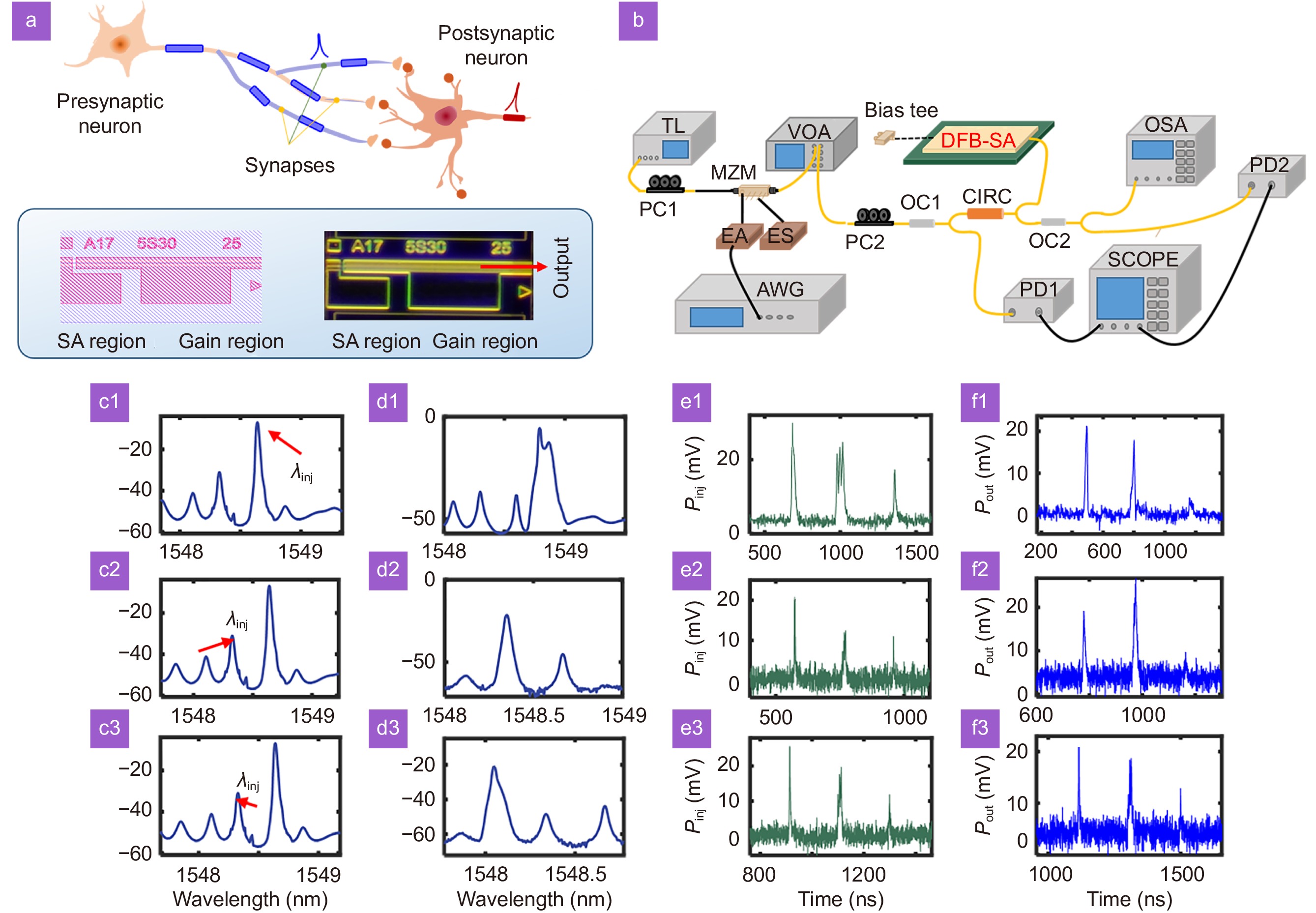 Pattern recognition in multi-synaptic photonic spiking neural networks based on a DFB-SA chip_3