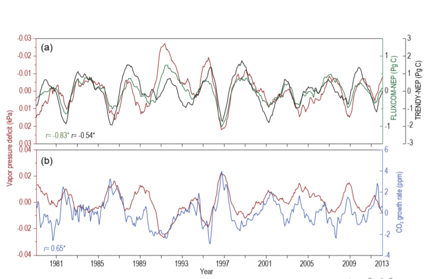 Worldwide impacts of atmospheric vapor pressure deficit on the interannual variability of terrestrial carbon sinks_4