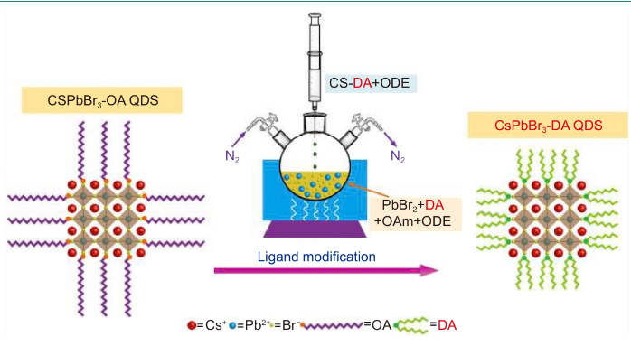 High-performance warm white LED based on thermally stable all inorganic perovskite quantum dots_3