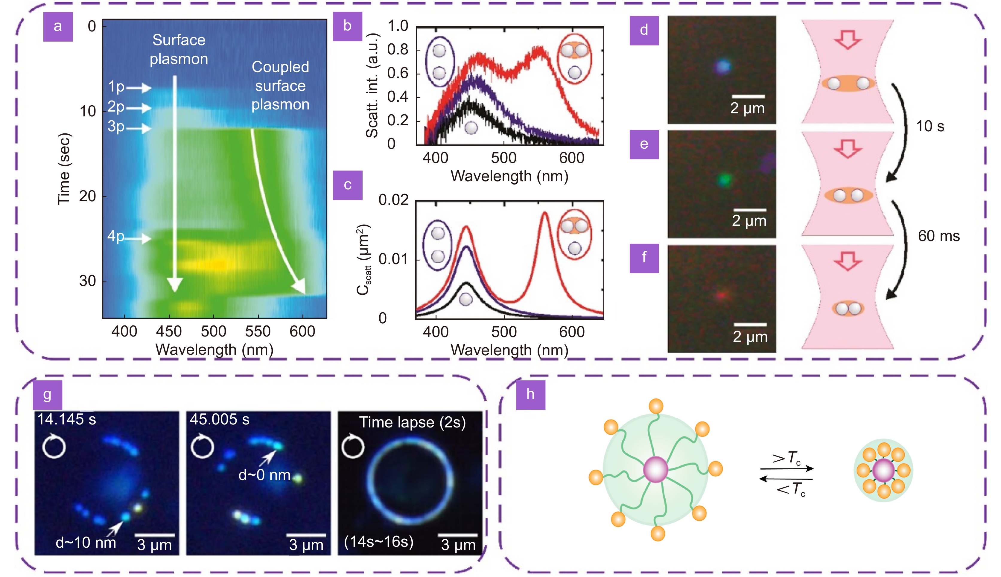 Optical trapping of optical nanoparticles: Fundamentals and applications_3