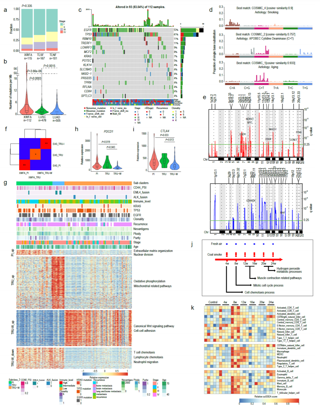 Genomic evidence of lung carcinogenesis associated with coal smoke in Xuanwei area, China_4