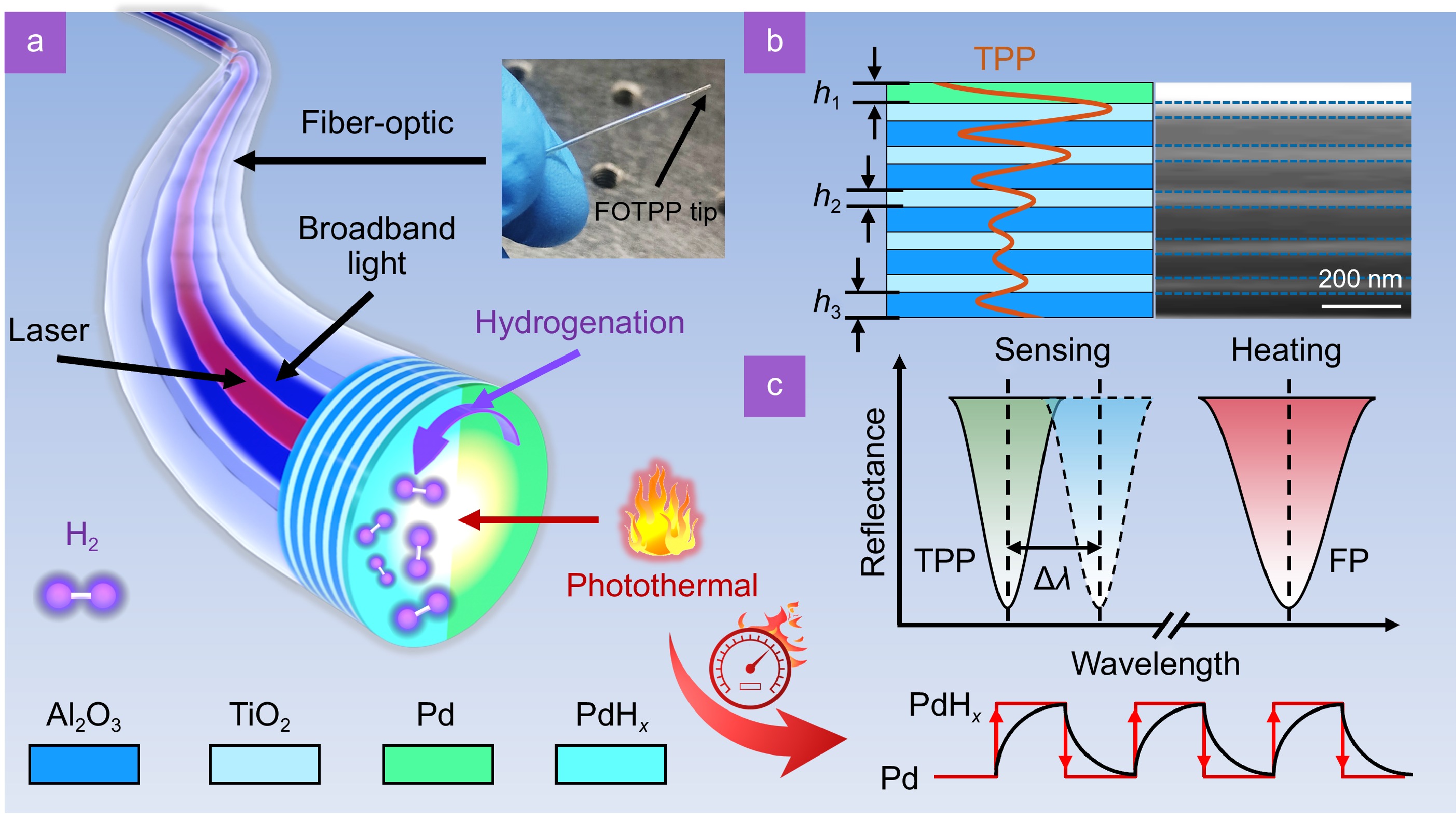 Multi-resonance enhanced photothermal synergistic fiber-optic Tamm plasmon polariton tip for high-sensitivity and rapid hydrogen detection_4
