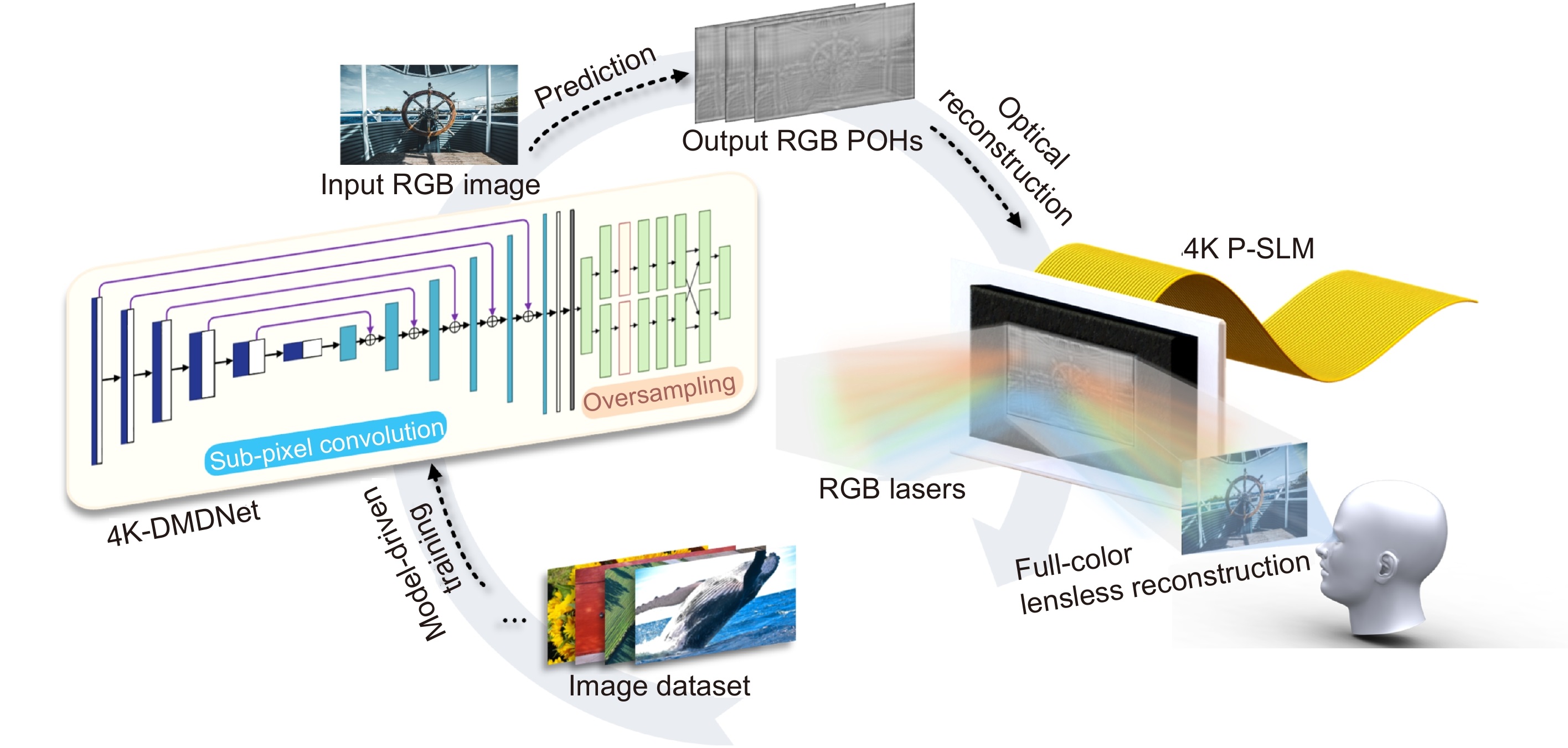 4K-DMDNet: diffraction model-driven network for 4K computer-generated holography_4