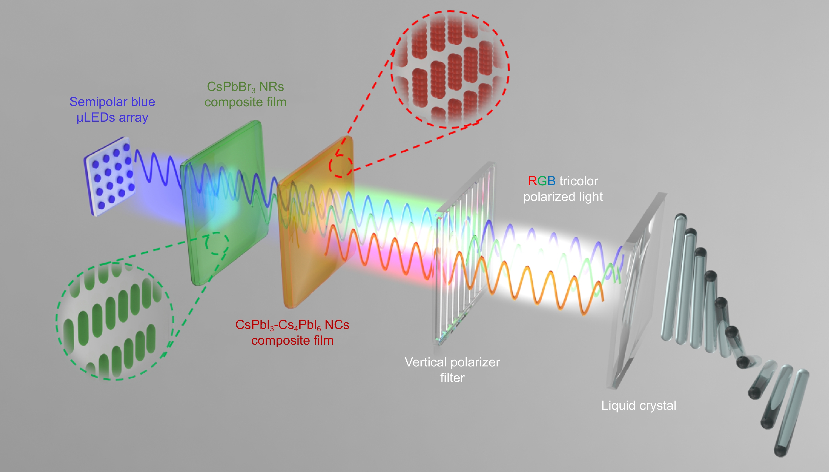 Self-polarized RGB device realized by semipolar micro-LEDs and perovskite-in-polymer films for backlight applications_4