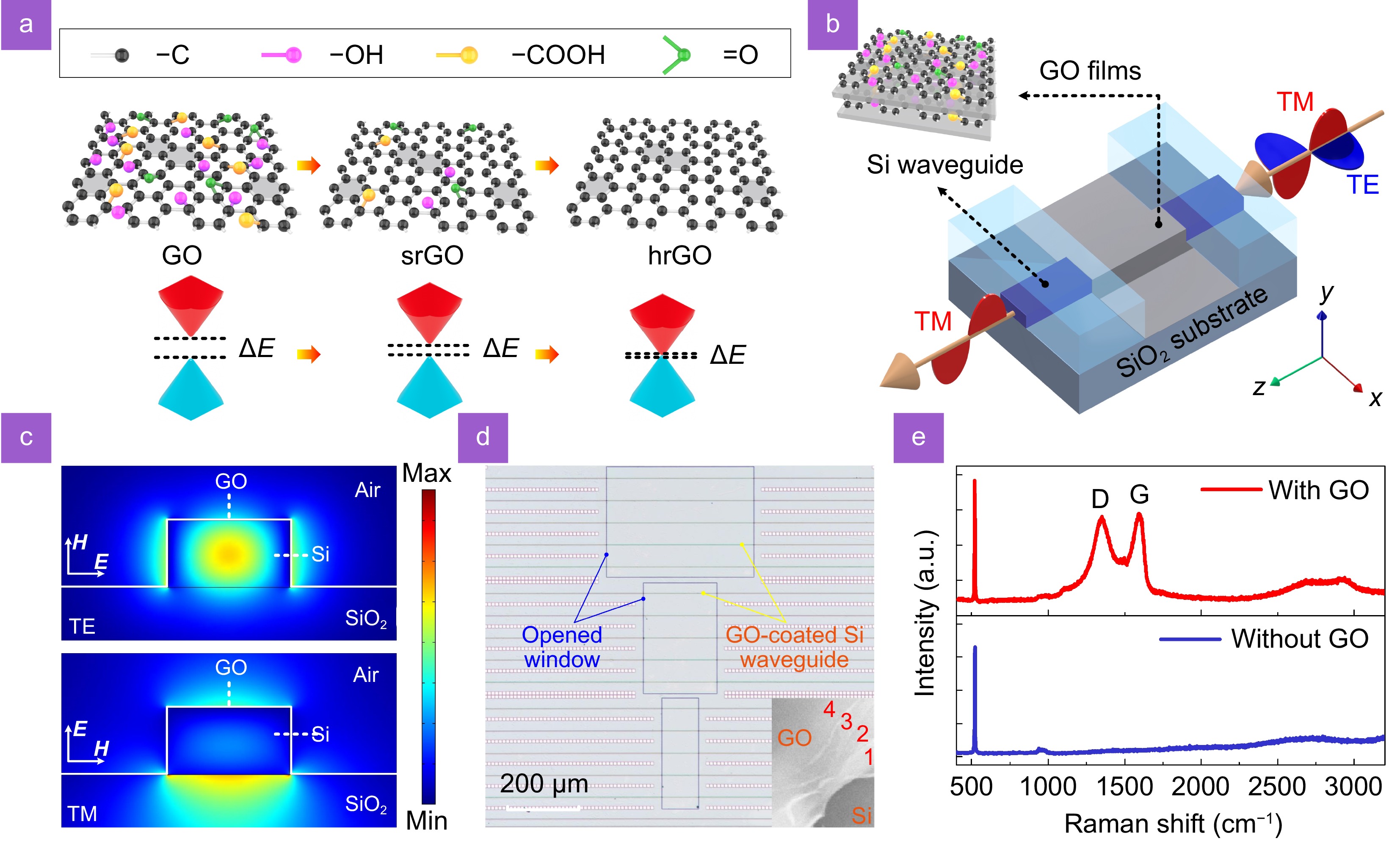 Integrated photonic polarizers with 2D reduced graphene oxide_4
