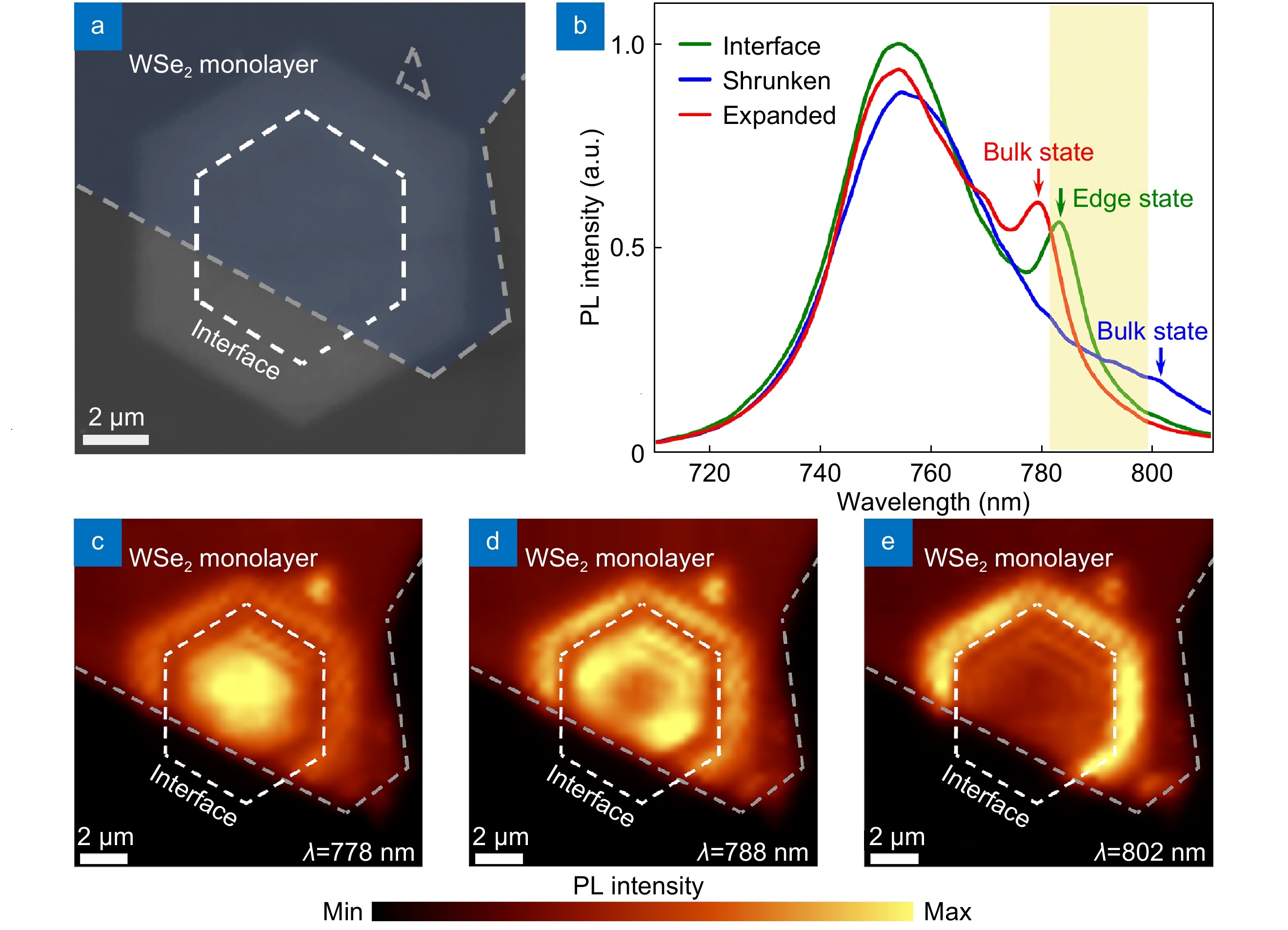 Field distribution of the Z₂ topological edge state revealed by cathodoluminescence nanoscopy_3