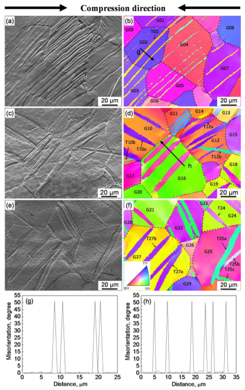 {332}<113>Twinning transfer behavior and its effect on the twin shape in a beta-type Ti-23.1Nb-2.0Zr-1.0O alloy_3