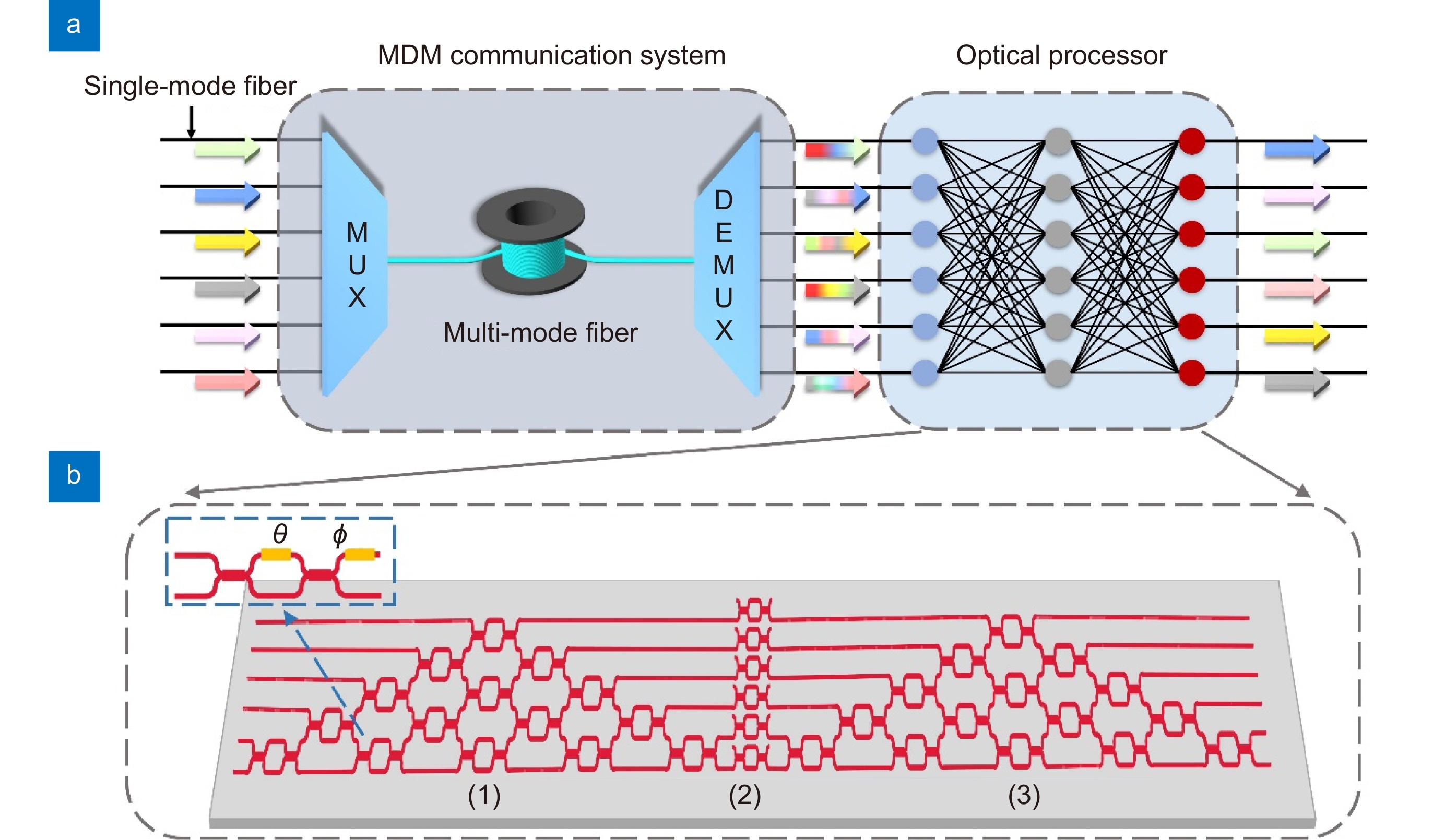 Efficient stochastic parallel gradient descent training for on-chip optical processor_4