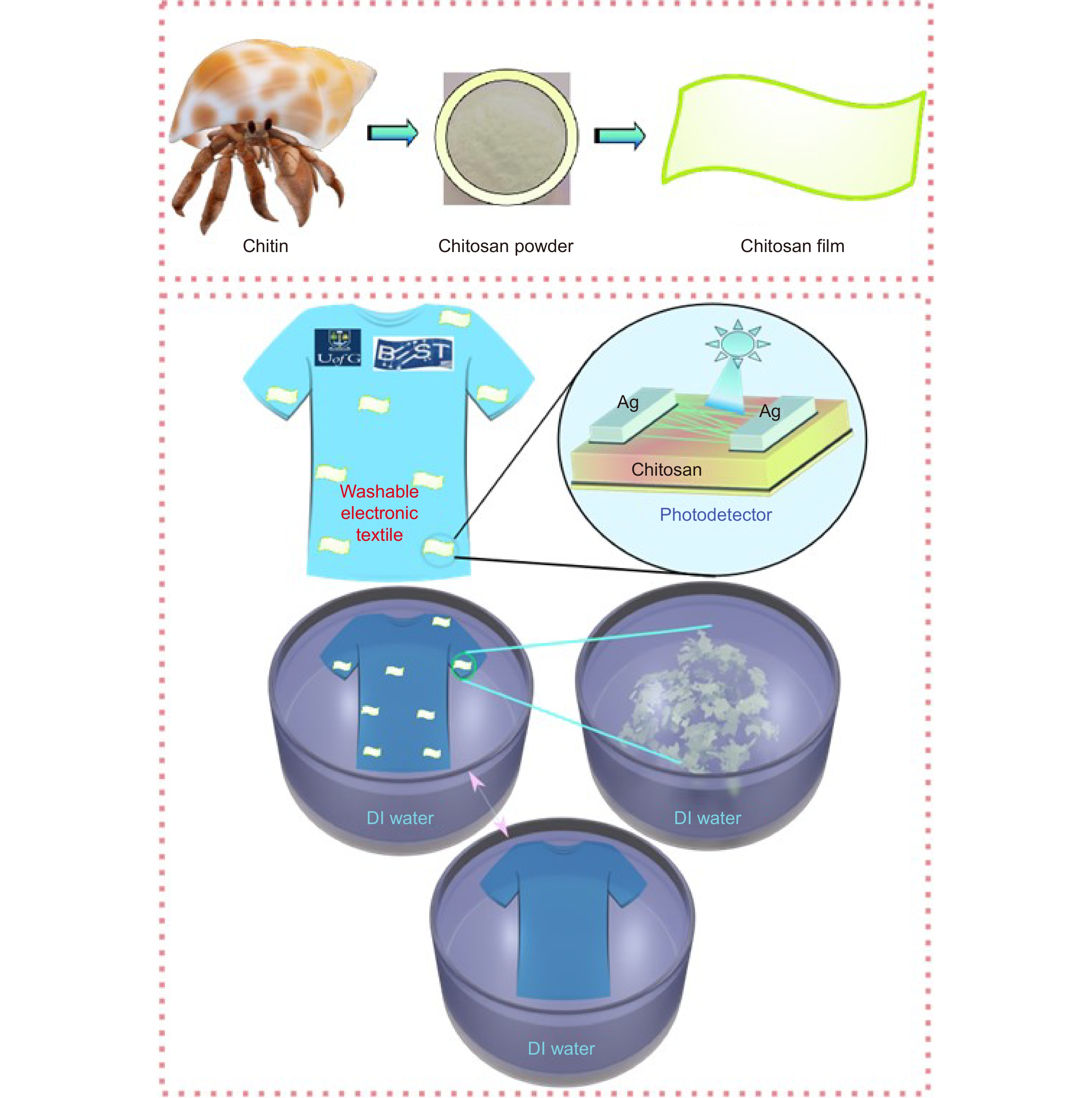 ZnO nanowires based degradable high-performance photodetectors for eco-friendly green electronics_4