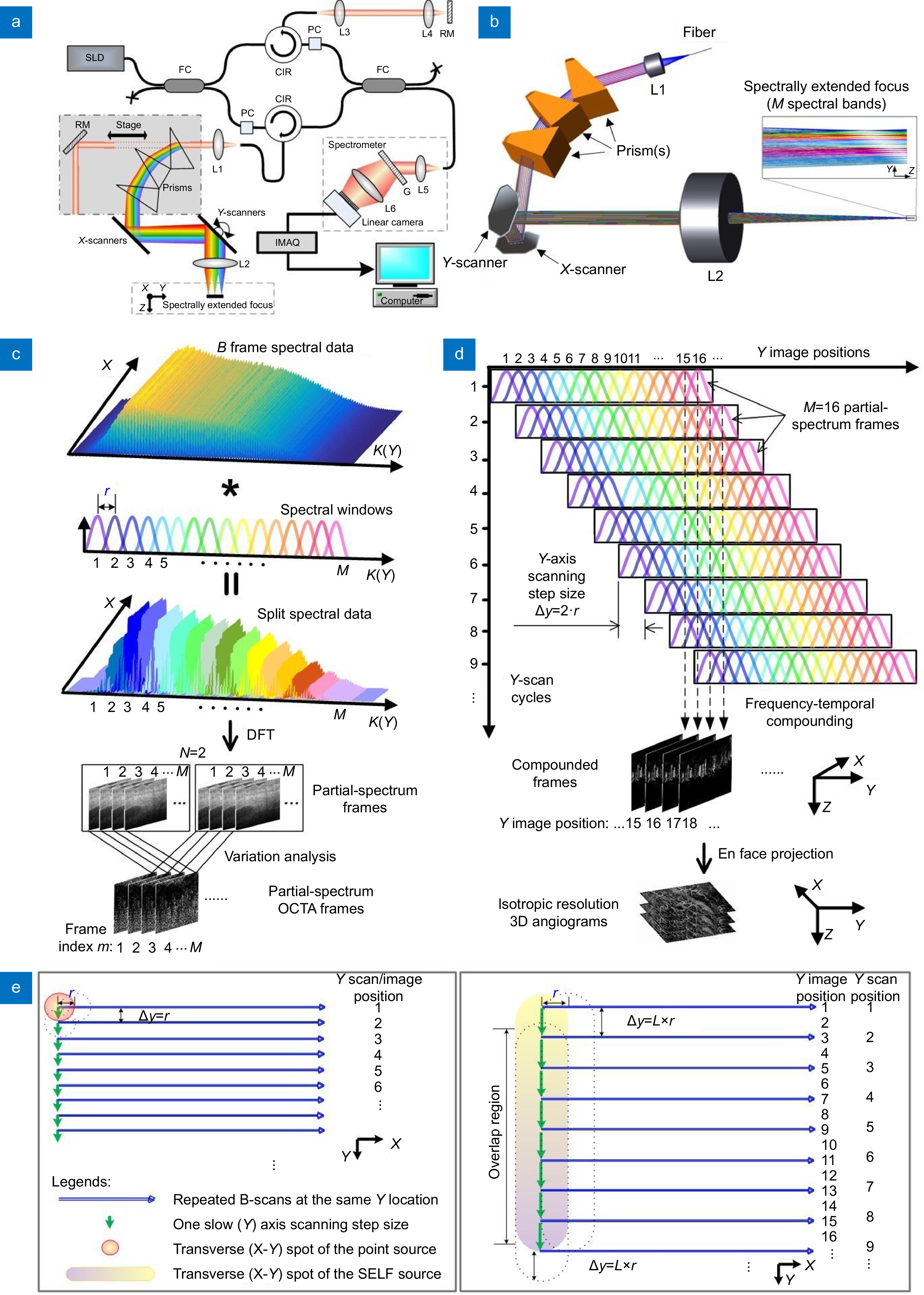 Spectrally extended line field optical coherence tomography angiography_4