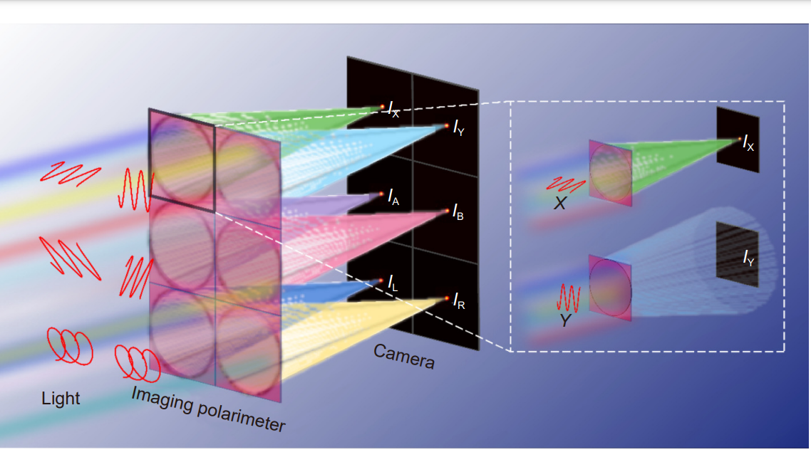 Crosstalk-free achromatic full Stokes imaging polarimetry metasurface enabled by polarization-dependent phase optimization_4