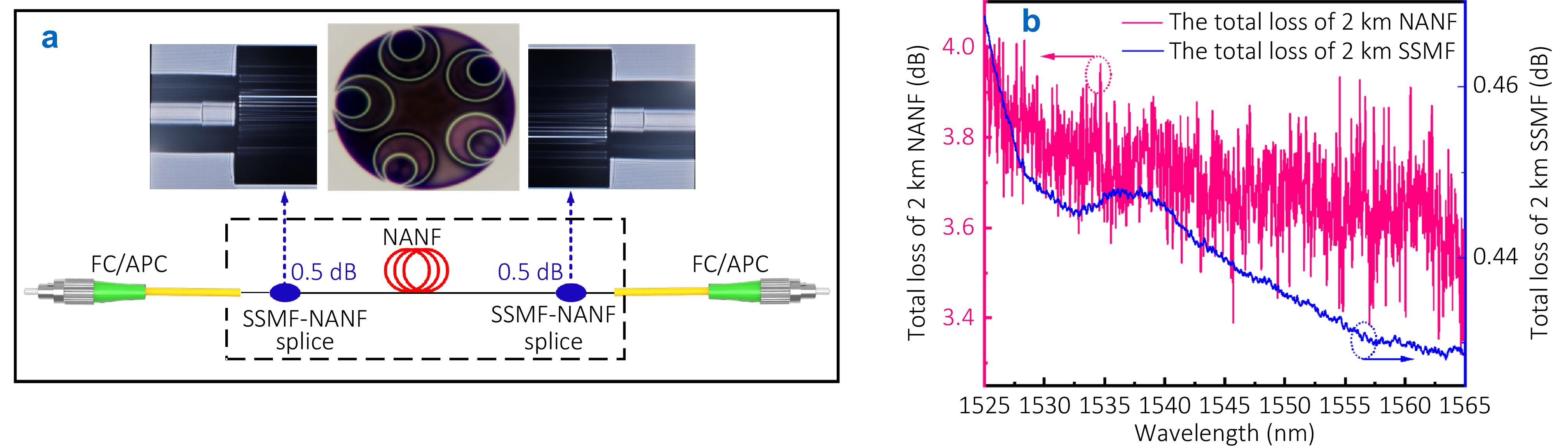 Entropy-loaded digital subcarrier multiplexing transmission adaptive to the loss-spectrum ripples of hollow-core fiber_4