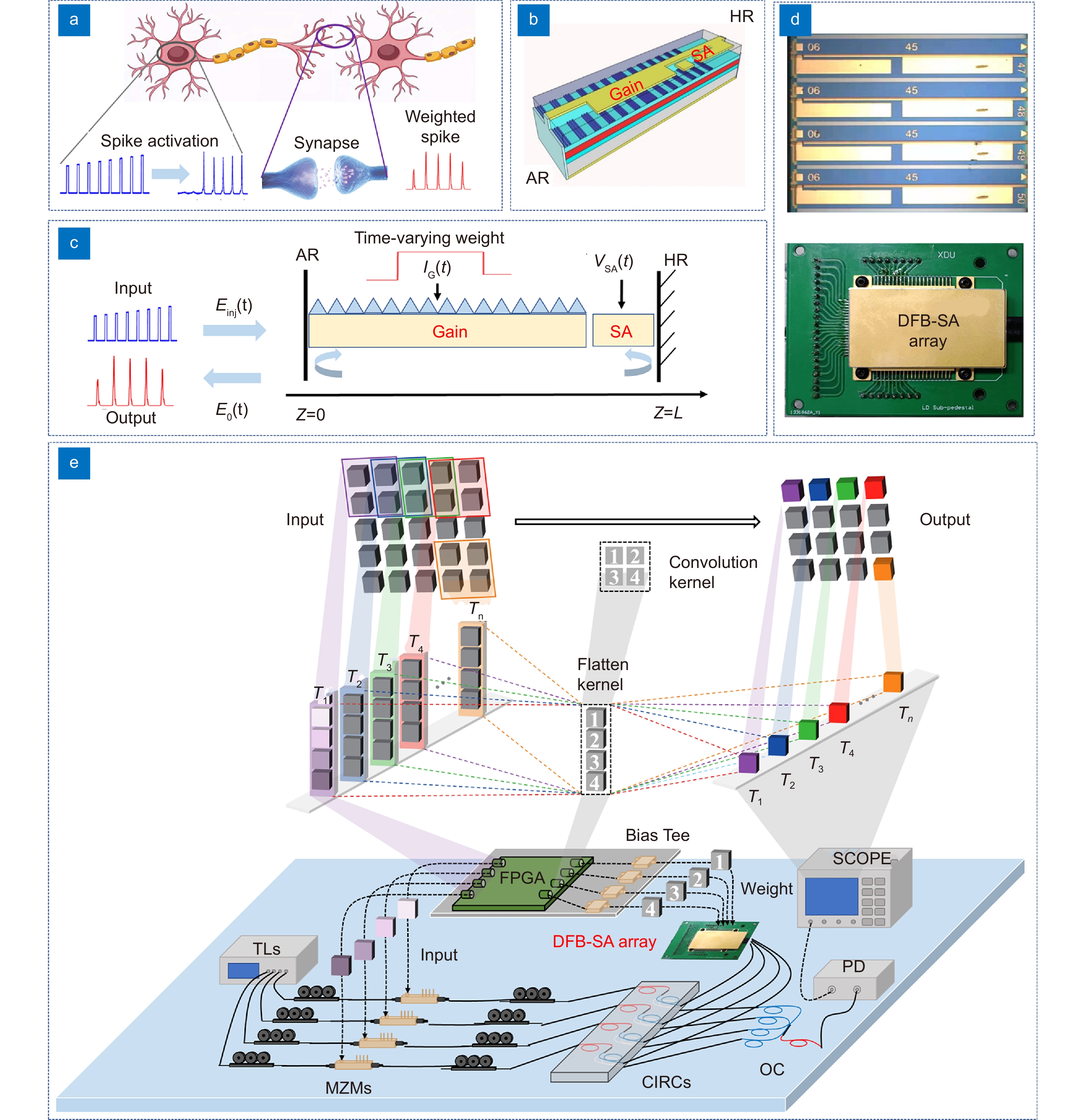 Photonic integrated neuro-synaptic core for convolutional spiking neural network_3